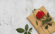 Flowers Birthday